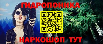 молекула духа Бийск