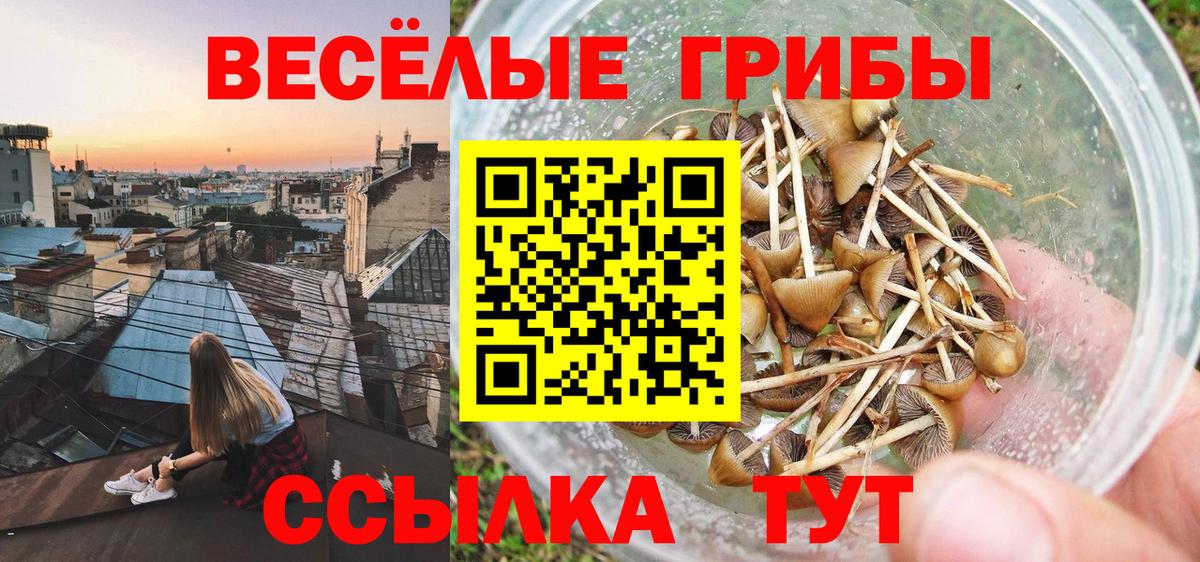 Озёры  Псилоцибиновые грибы Magic Shrooms  Вход с VPN 